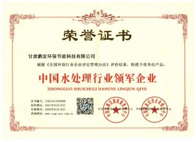 领军企业荣誉证书